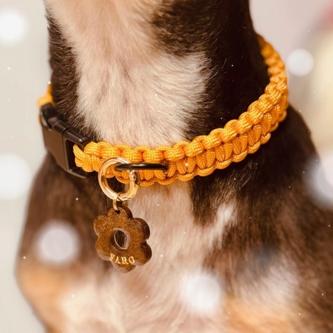 Adresówka dla psa z żywicy – personalizowana, perłowe wypełnienie (różne kolory i kształty)