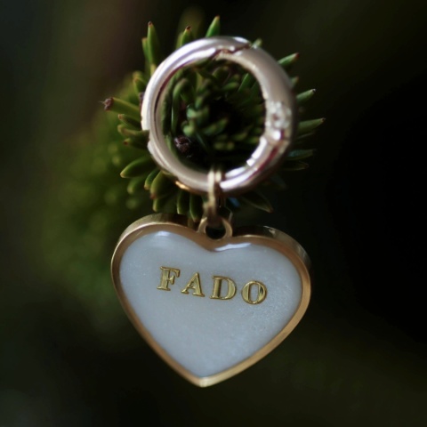 Adresówka dla psa z żywicy w kształcie serca – personalizowana (różne kolory)