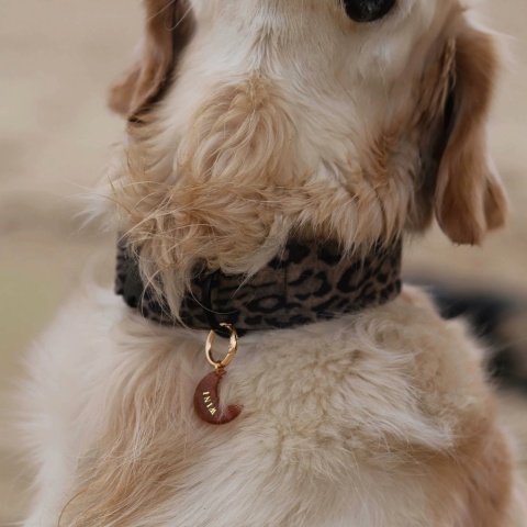 Obroża dla psa regulowana z klamrą – zamszowa panterka | dla małych i dużych psów (1,5 / 2 / 3,8 cm)
