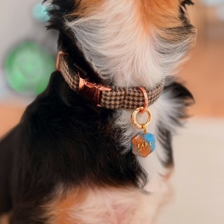 Obroża dla psa regulowana z klamrą – zamszowa pepitka beżowa | dla małych i dużych psów (1,5 / 2 / 3,8 cm)