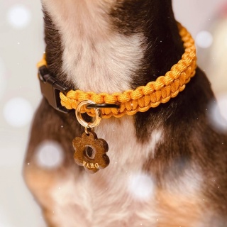 Obroża pleciona dla psa z linki paracord – beżowa, Beige