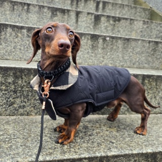 Obroża pleciona dla psa z linki paracord – czarna, Black Moon