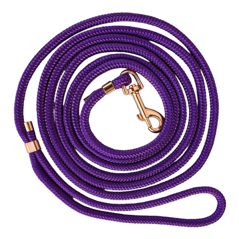 Smycz linowa miejska dla psa (mini i standard) – fioletowa, Acid Purple