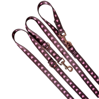 Smycz przepinana dla psa w serduszka, brązowa, personalizowana – Psiamore