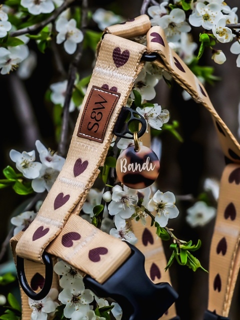 Adresówka dla psa – personalizowana zawieszka, panterka