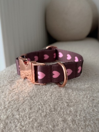 Obroża PSIAMORE Rose Gold 25 mm, obwód 27,5–34 cm - brązowa