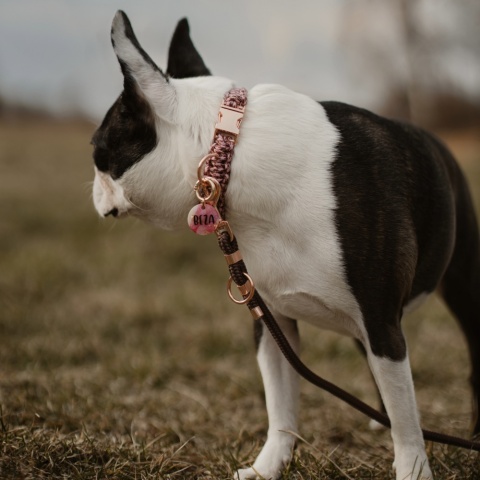 Obroża pleciona dla psa z linki paracord – różowo-brązowa, Praline Brown