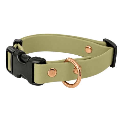 Obroża wodoodporna dla psa, zielona limonka, regulowana z klamrą TPU – Lime Green (16mm, 20mm, 25mm)