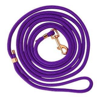 Smycz linowa miejska dla psa (mini / standard / strong) – fioletowa, Acid Purple
