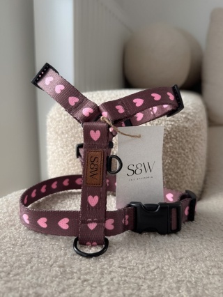 Szelki PSIAMORE 20 mm, XS/S - brązowe