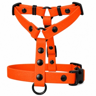 Szelki guard wodoodporne dla psa, pomarańczowe, regulowane – Bloody Orange