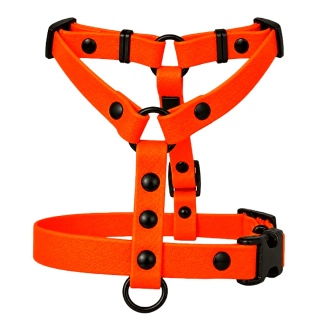Szelki guard wodoodporne dla psa, pomarańczowe, regulowane – Bloody Orange