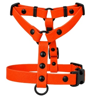 Szelki guard wodoodporne dla psa, pomarańczowe, regulowane – Bloody Orange